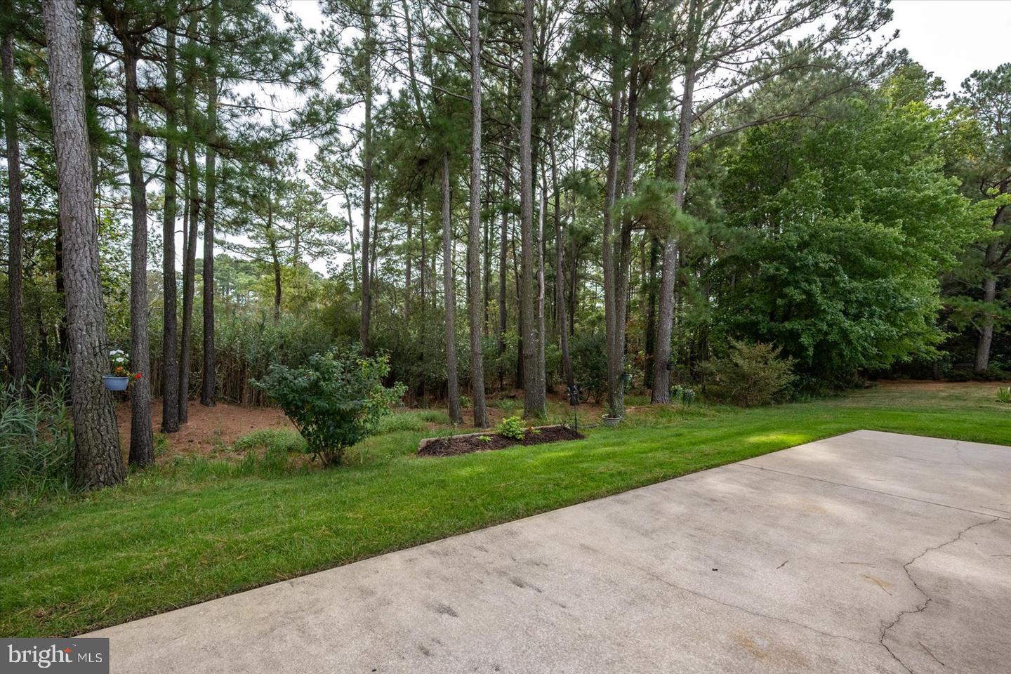 DESU2070676-803362140968-2025-03-07-10-51-20 36952 Bluewater Run E | Selbyville, DE Real Estate For Sale | MLS# Desu2070676  - Jack Lingo REALTOR