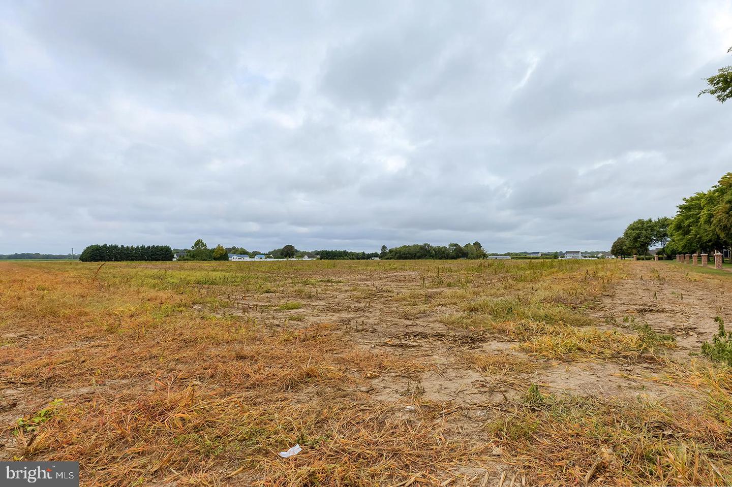 DESU2070790-803426991382-2025-09-10-08-26-08 20450 Elks Lodge Rd | Lincoln, DE Real Estate For Sale | MLS# Desu2070790  - Jack Lingo REALTOR