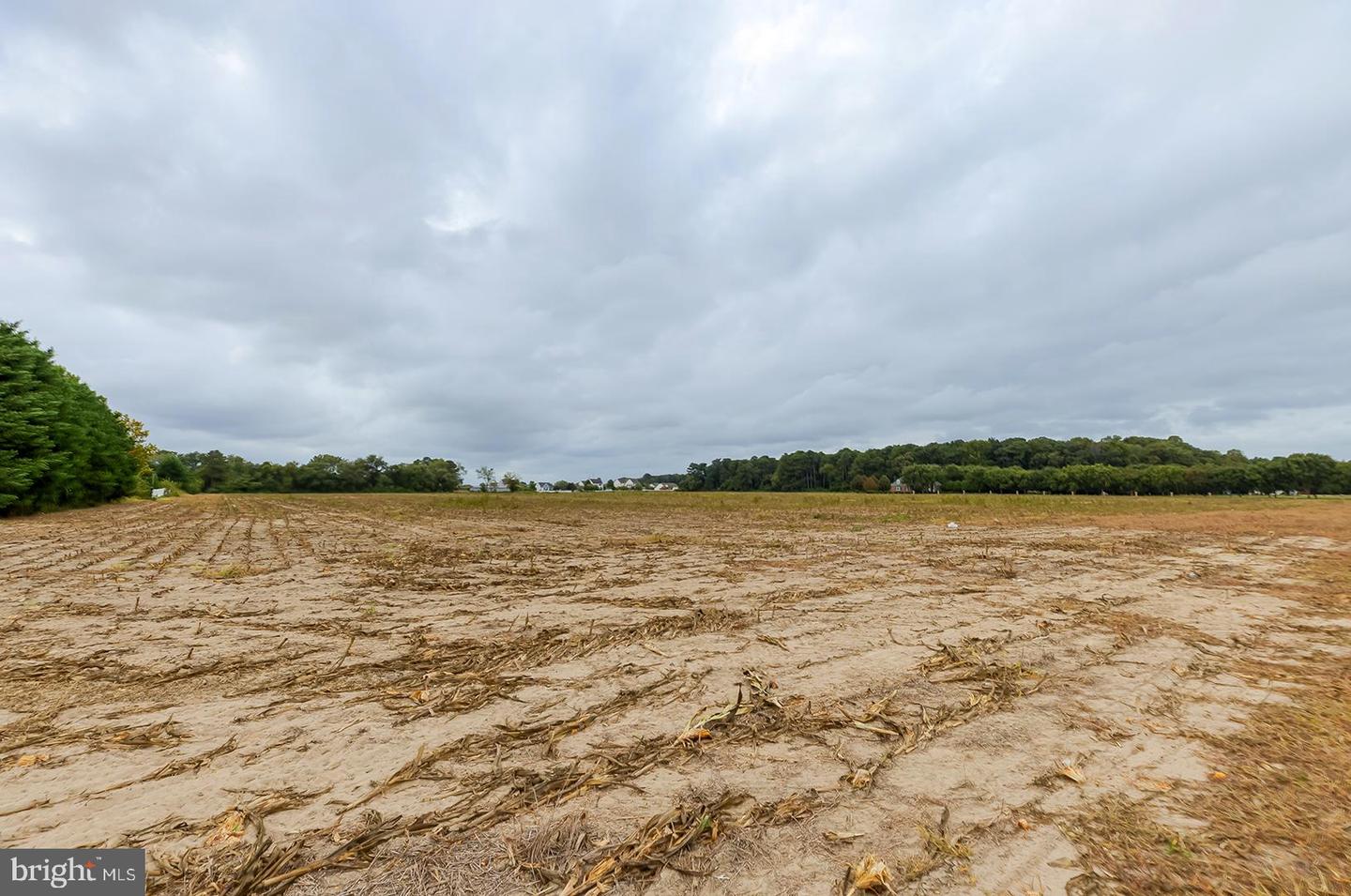 DESU2070790-803426991490-2025-09-10-08-26-07 20450 Elks Lodge Rd | Lincoln, DE Real Estate For Sale | MLS# Desu2070790  - Jack Lingo REALTOR