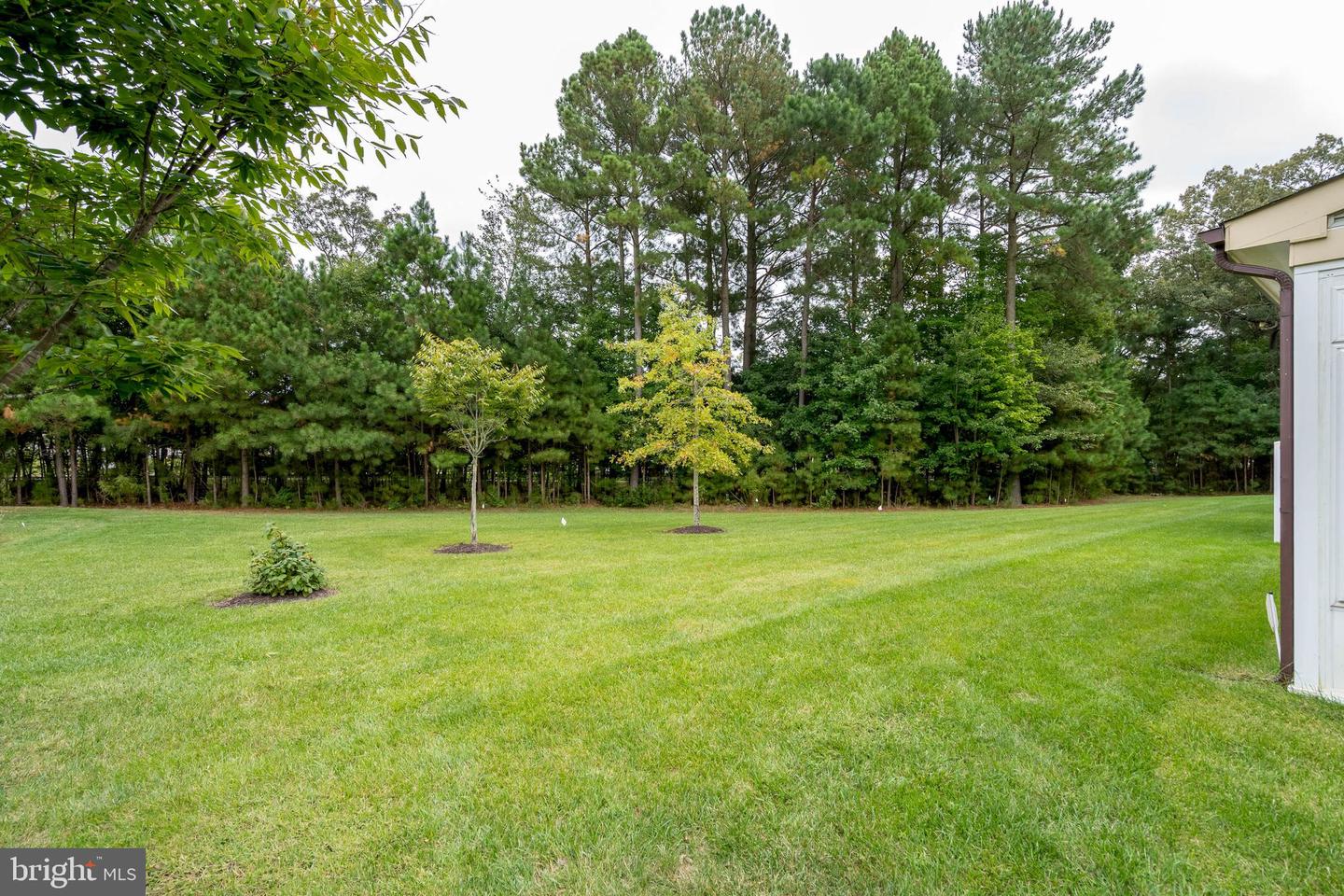 DESU2070950-803380988084-2025-06-17-16-26-37 38868 Cedar Waxwing Ln | Ocean View, DE Real Estate For Sale | MLS# Desu2070950  - Jack Lingo REALTOR