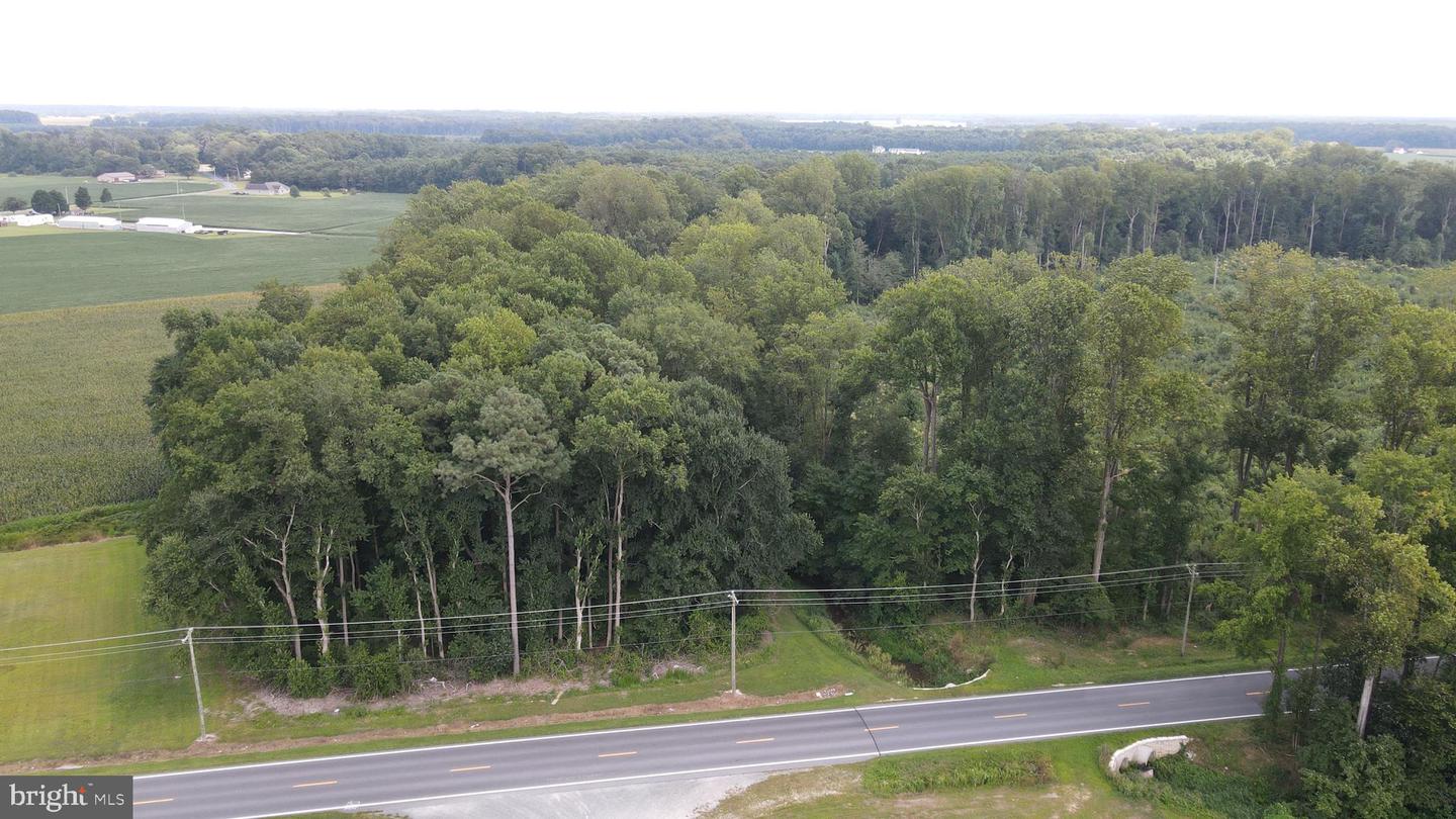 18.271 AC.,  TRACT 5 SHORTLY RD., GEORGETOWN, DE - Jack Lingo Realtor