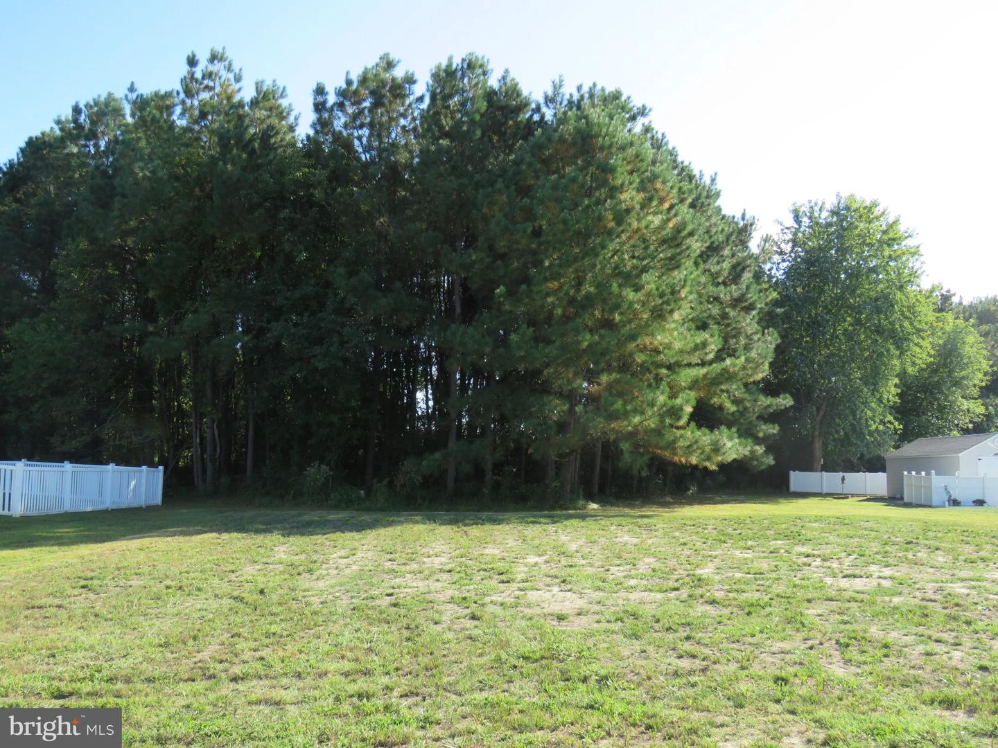 DESU2071032-803373631170-2024-09-20-17-08-16 31048 Meadow Dr | Lewes, DE Real Estate For Sale | MLS# Desu2071032  - Jack Lingo REALTOR