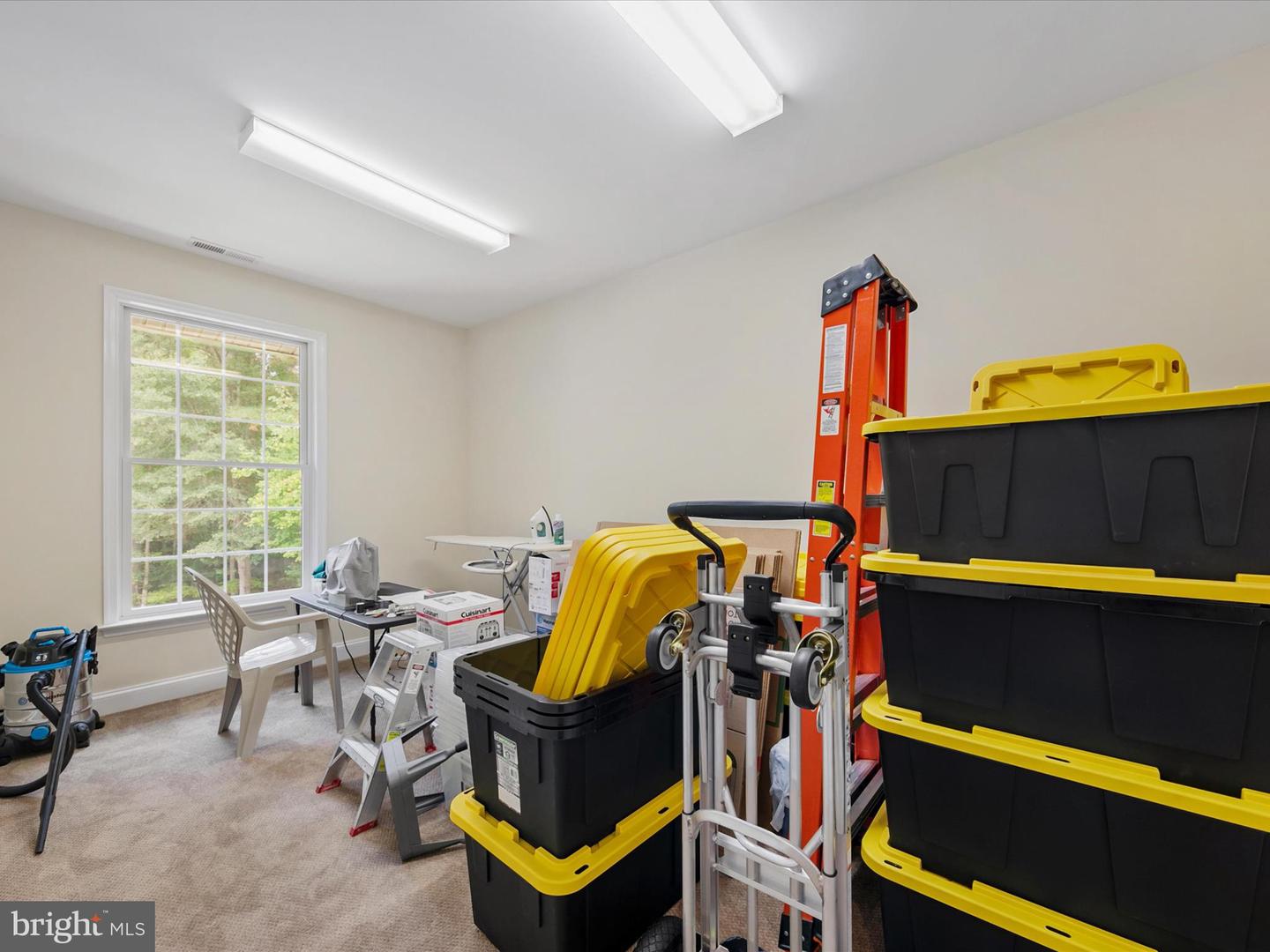 DESU2071274-803380063510-2025-02-04-11-48-12 31700 Holly Wood Ln | Frankford, DE Real Estate For Sale | MLS# Desu2071274  - Jack Lingo REALTOR