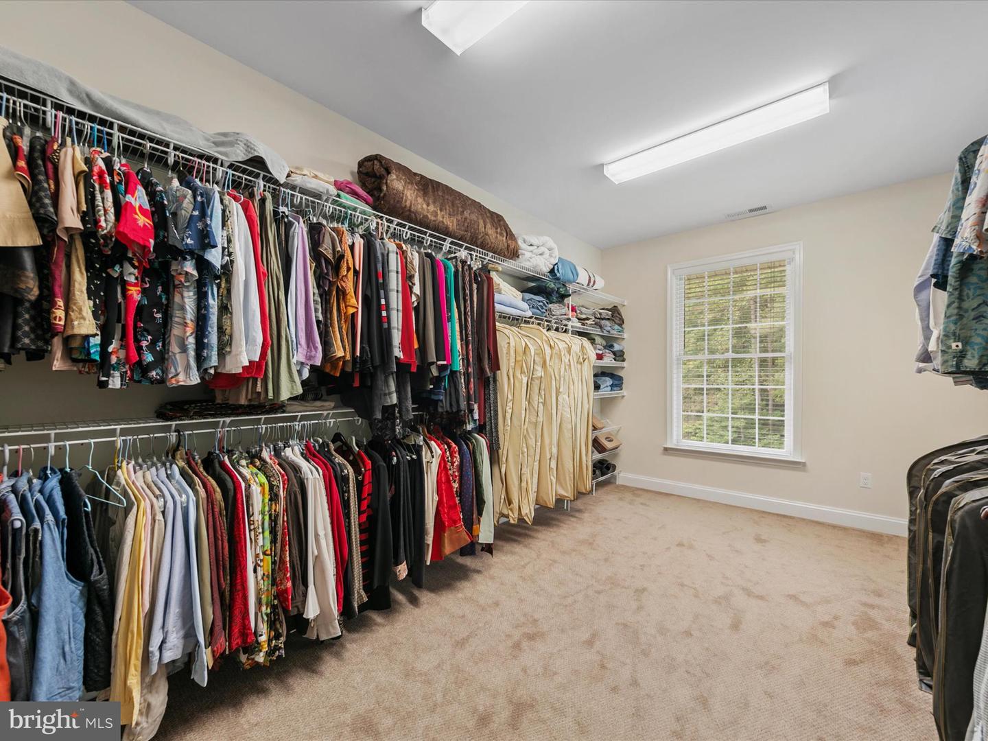DESU2071274-803380063618-2025-02-04-11-48-12 31700 Holly Wood Ln | Frankford, DE Real Estate For Sale | MLS# Desu2071274  - Jack Lingo REALTOR