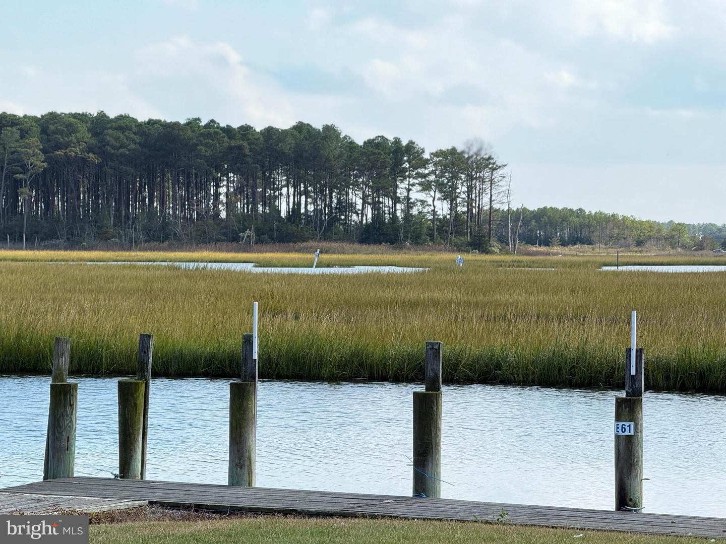 DESU2072452-803421962268-2025-05-15-09-24-37 35841 S Canal St #17849 | Millsboro, DE Real Estate For Sale | MLS# Desu2072452  - Jack Lingo REALTOR