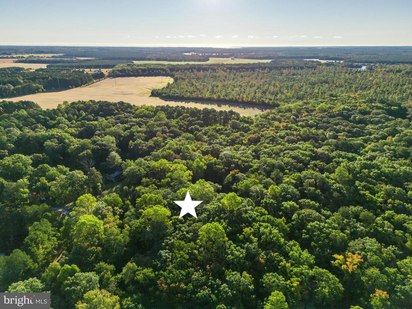 DESU2072564-803424451574-2025-03-25-10-11-21 Lot B15 Ohnmacht Ln | Georgetown, DE Real Estate For Sale | MLS# Desu2072564  - Jack Lingo REALTOR