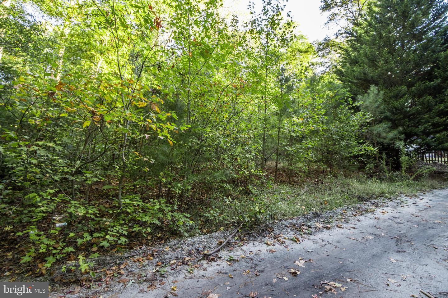 DESU2072564-803424452724-2025-03-25-10-11-21 Lot B15 Ohnmacht Ln | Georgetown, DE Real Estate For Sale | MLS# Desu2072564  - Jack Lingo REALTOR