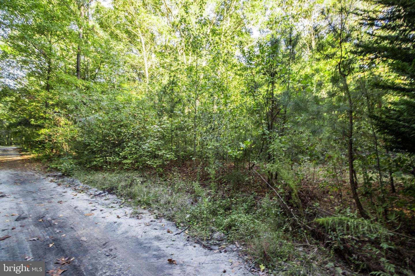 DESU2072564-803424452800-2025-03-25-10-11-21 Lot B15 Ohnmacht Ln | Georgetown, DE Real Estate For Sale | MLS# Desu2072564  - Jack Lingo REALTOR