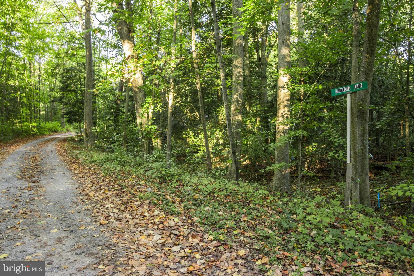 DESU2072564-803424452872-2025-03-25-10-11-21 Lot B15 Ohnmacht Ln | Georgetown, DE Real Estate For Sale | MLS# Desu2072564  - Jack Lingo REALTOR