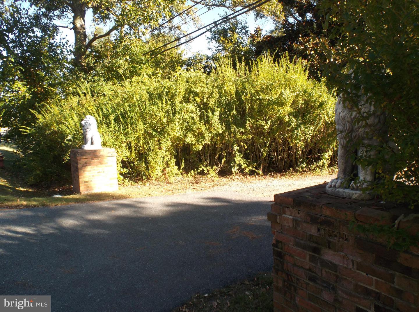 DESU2072772-803430429036-2025-05-30-10-33-56 21460 Old Park Ave | Georgetown, DE Real Estate For Sale | MLS# Desu2072772  - Jack Lingo REALTOR