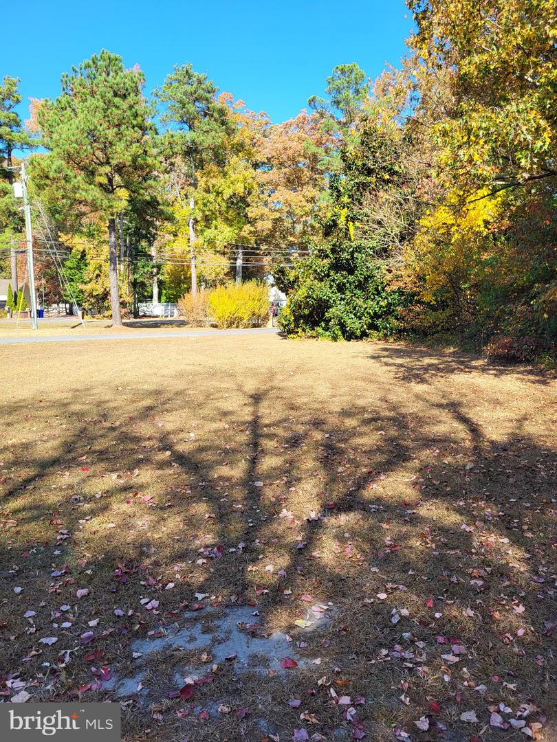 DESU2072772-803449043112-2025-05-30-10-33-54 21460 Old Park Ave | Georgetown, DE Real Estate For Sale | MLS# Desu2072772  - Jack Lingo REALTOR