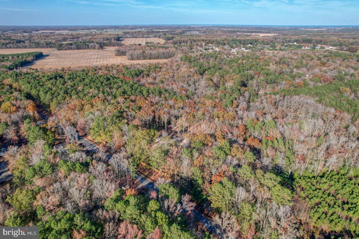 DESU2073938-803475841402-2025-04-01-11-16-58 16349 Sam Lucas Rd | Milton, DE Real Estate For Sale | MLS# Desu2073938  - Jack Lingo REALTOR