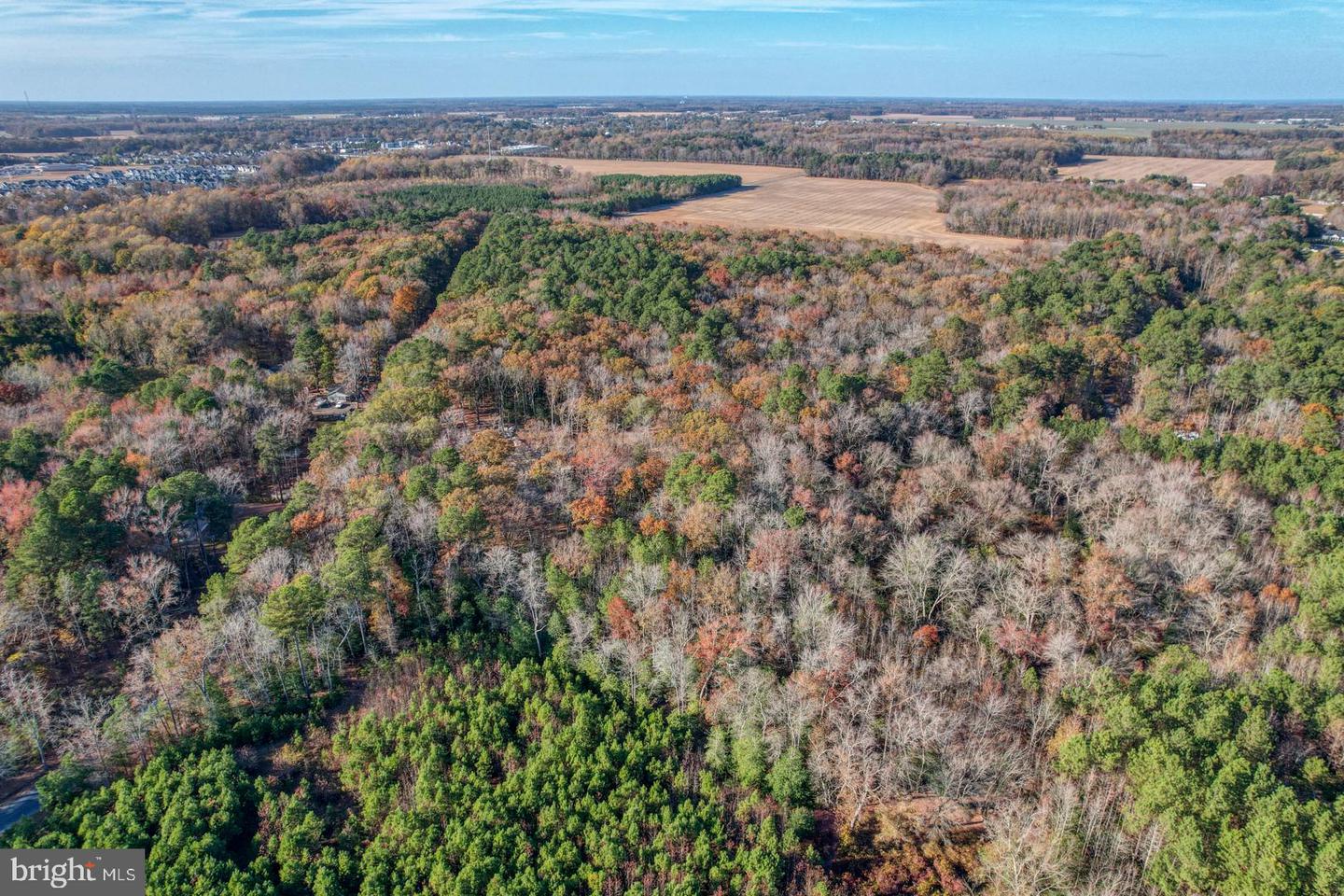 DESU2073938-803475841426-2025-04-01-11-16-58 16349 Sam Lucas Rd | Milton, DE Real Estate For Sale | MLS# Desu2073938  - Jack Lingo REALTOR