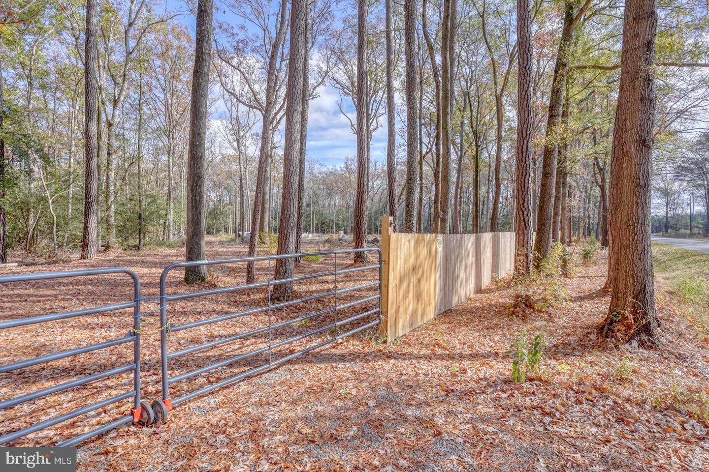DESU2073938-803479384884-2025-04-01-11-16-58 16349 Sam Lucas Rd | Milton, DE Real Estate For Sale | MLS# Desu2073938  - Jack Lingo REALTOR