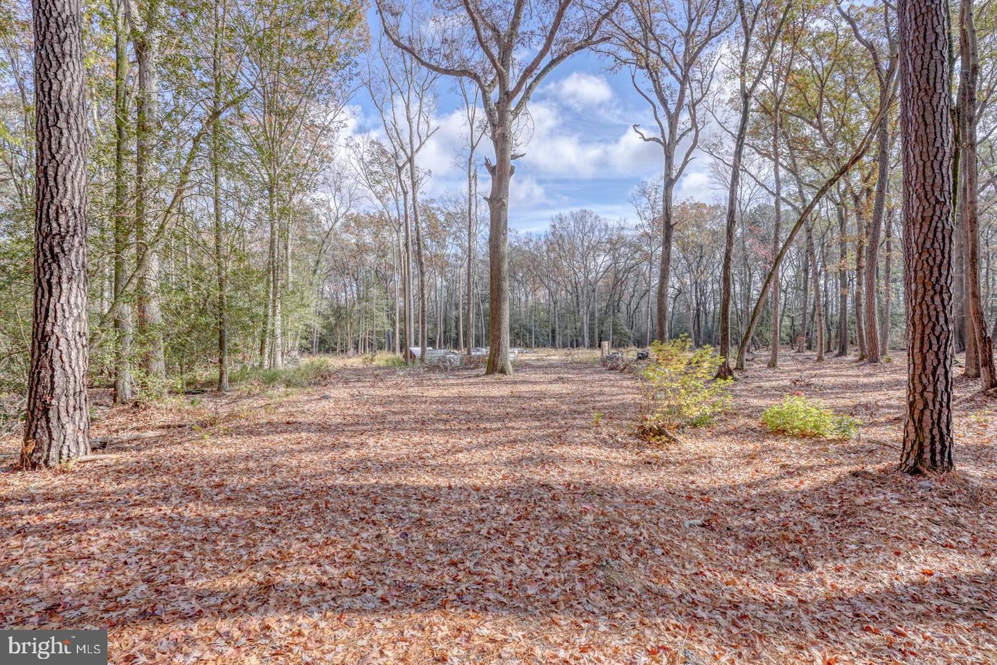 DESU2073938-803479384924-2025-04-01-11-16-58 16349 Sam Lucas Rd | Milton, DE Real Estate For Sale | MLS# Desu2073938  - Jack Lingo REALTOR