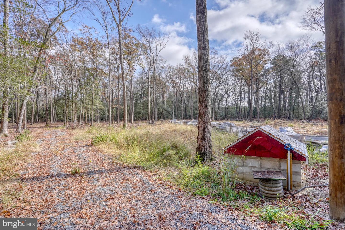 DESU2073938-803479384954-2025-04-01-11-16-58 16349 Sam Lucas Rd | Milton, DE Real Estate For Sale | MLS# Desu2073938  - Jack Lingo REALTOR
