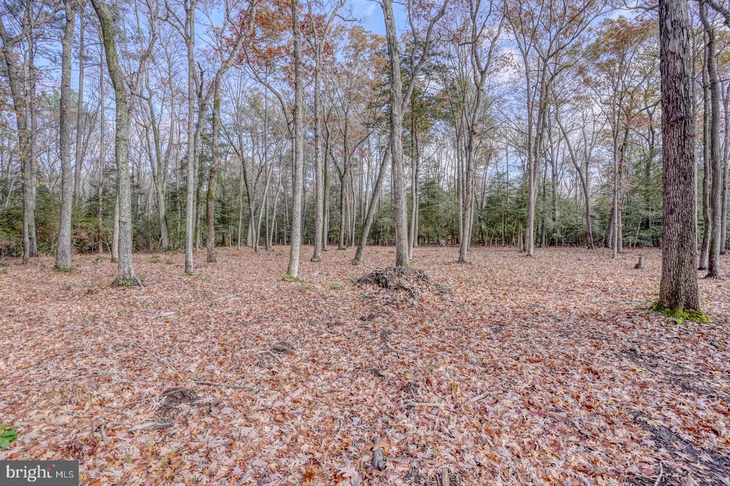 DESU2073938-803479385282-2025-04-01-11-16-58 16349 Sam Lucas Rd | Milton, DE Real Estate For Sale | MLS# Desu2073938  - Jack Lingo REALTOR