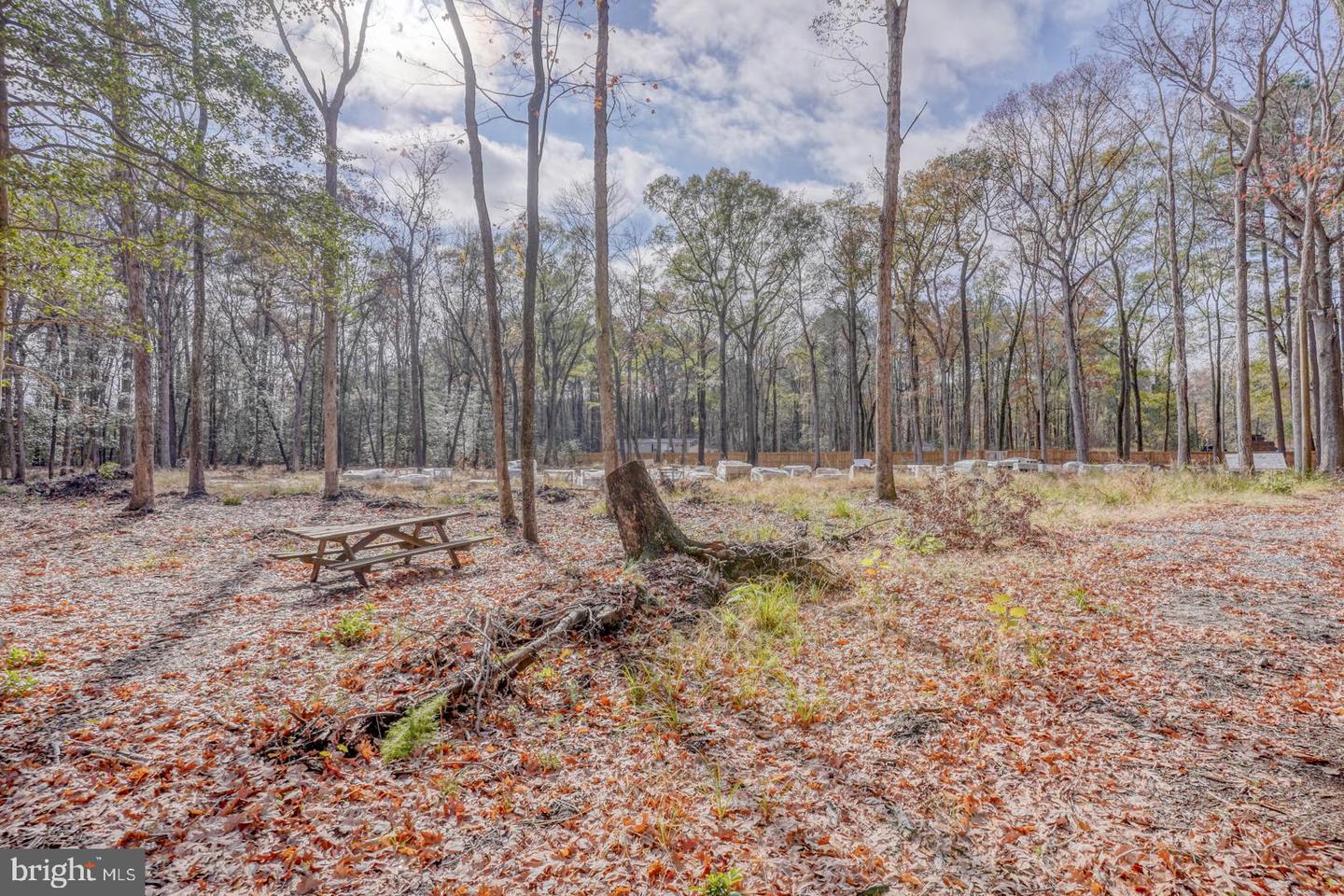 DESU2073938-803479385296-2025-04-01-11-16-58 16349 Sam Lucas Rd | Milton, DE Real Estate For Sale | MLS# Desu2073938  - Jack Lingo REALTOR