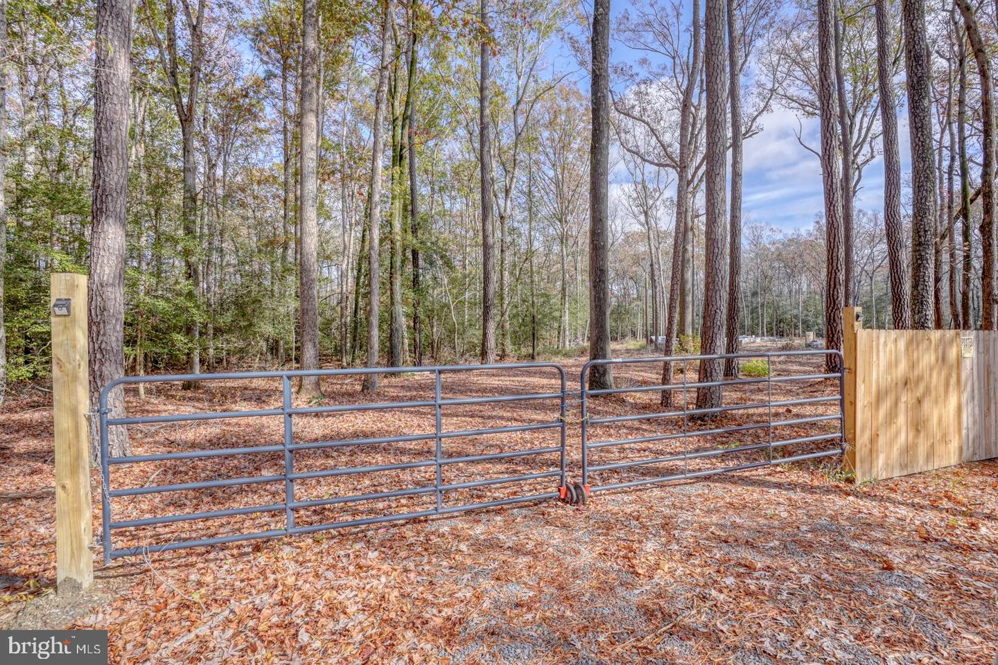 DESU2073938-803479385448-2025-04-01-11-16-58 16349 Sam Lucas Rd | Milton, DE Real Estate For Sale | MLS# Desu2073938  - Jack Lingo REALTOR
