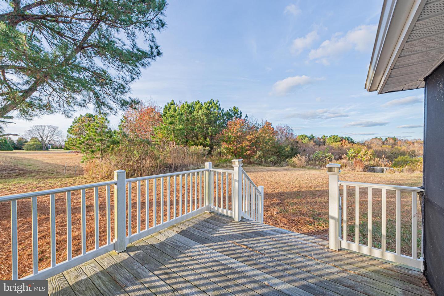 DESU2074386-803484219250-2025-06-20-21-08-46 34099 Peppers Corner Rd | Frankford, DE Real Estate For Sale | MLS# Desu2074386  - Jack Lingo REALTOR