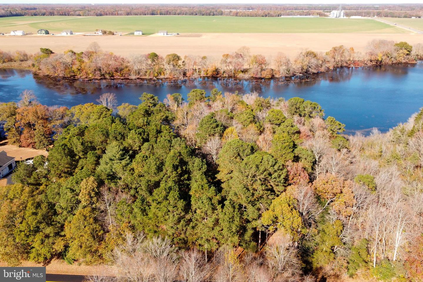 DESU2074406-803485106428-2024-11-14-16-01-18 Lot 4 Reynolds Pond Rd | Ellendale, DE Real Estate For Sale | MLS# Desu2074406  - Jack Lingo REALTOR