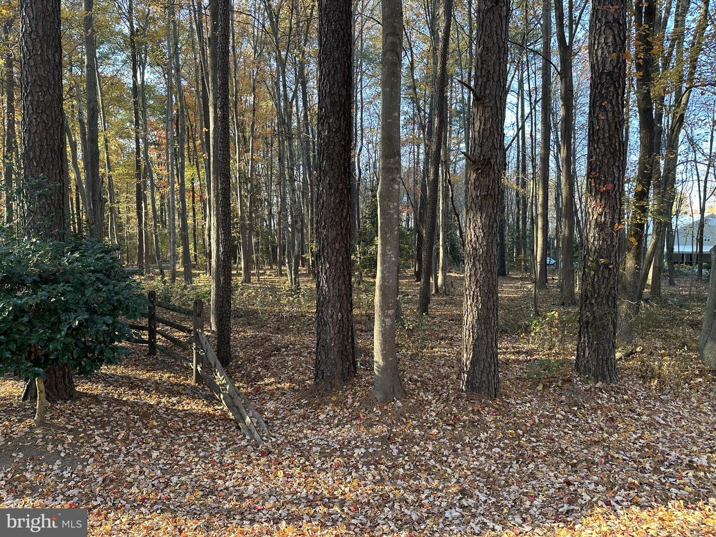 DESU2074552-803489831620-2025-09-03-13-42-12 0 Steeple Chase Run | Lewes, DE Real Estate For Sale | MLS# Desu2074552 - Jack Lingo REALTOR DESU2074552-803489831620-2025-09-03-13-42-12 0 Steeple Chase Run | Lewes, DE Real Estate For Sale | MLS# Desu2074552 - Jack Lingo REALTOR