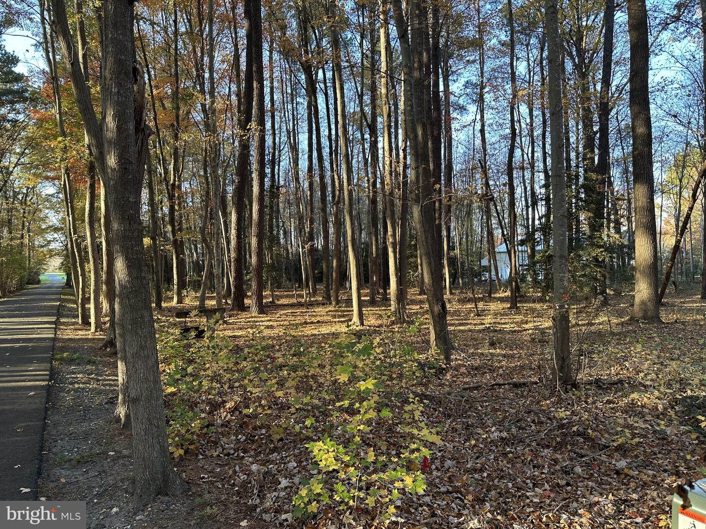 DESU2074552-803489831736-2025-11-18-17-17-56 0 Steeple Chase Run | Lewes, DE Real Estate For Sale | MLS# Desu2074552  - Jack Lingo REALTOR