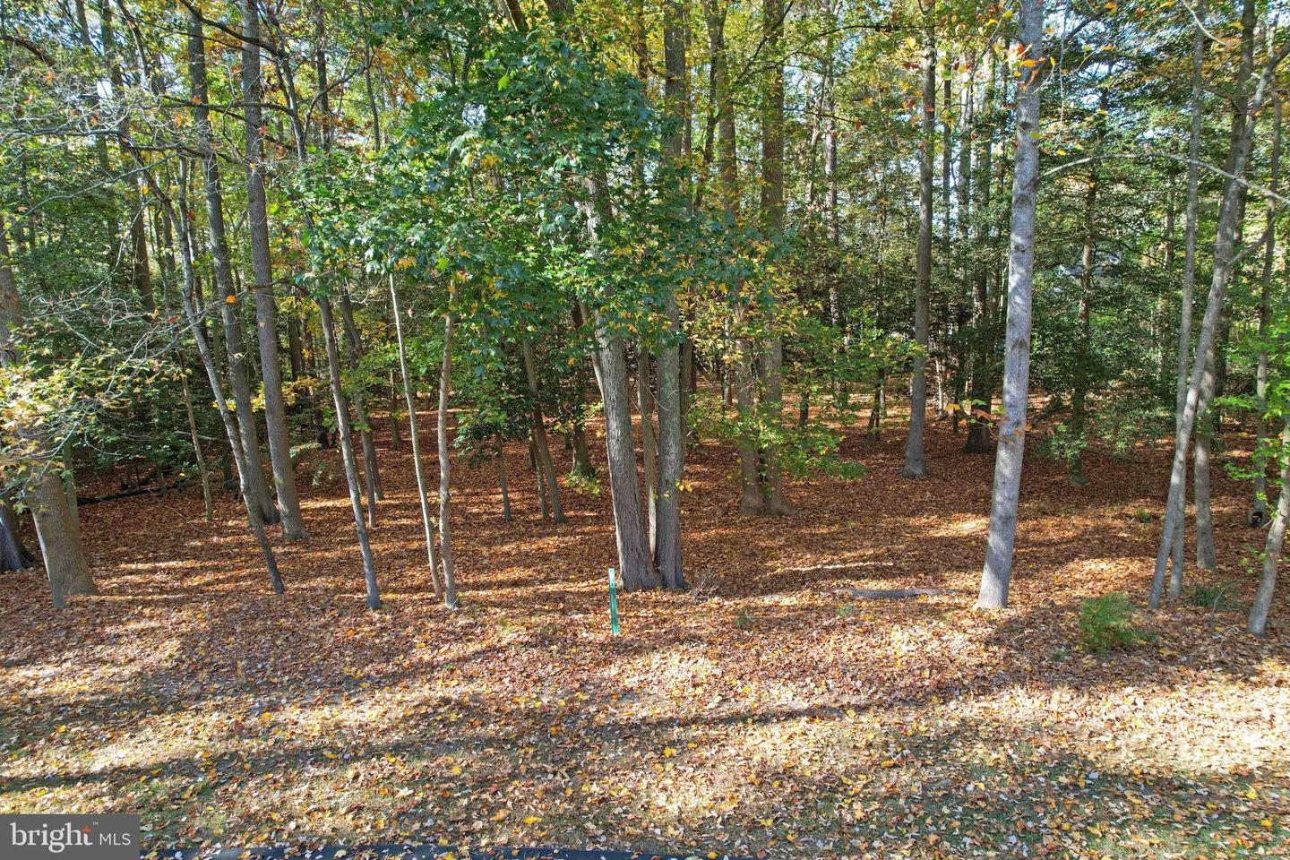 DESU2074578-803490668800-2025-03-07-16-16-21 Lot 29 Bayard Lane | Lewes, DE Real Estate For Sale | MLS# Desu2074578  - Jack Lingo REALTOR