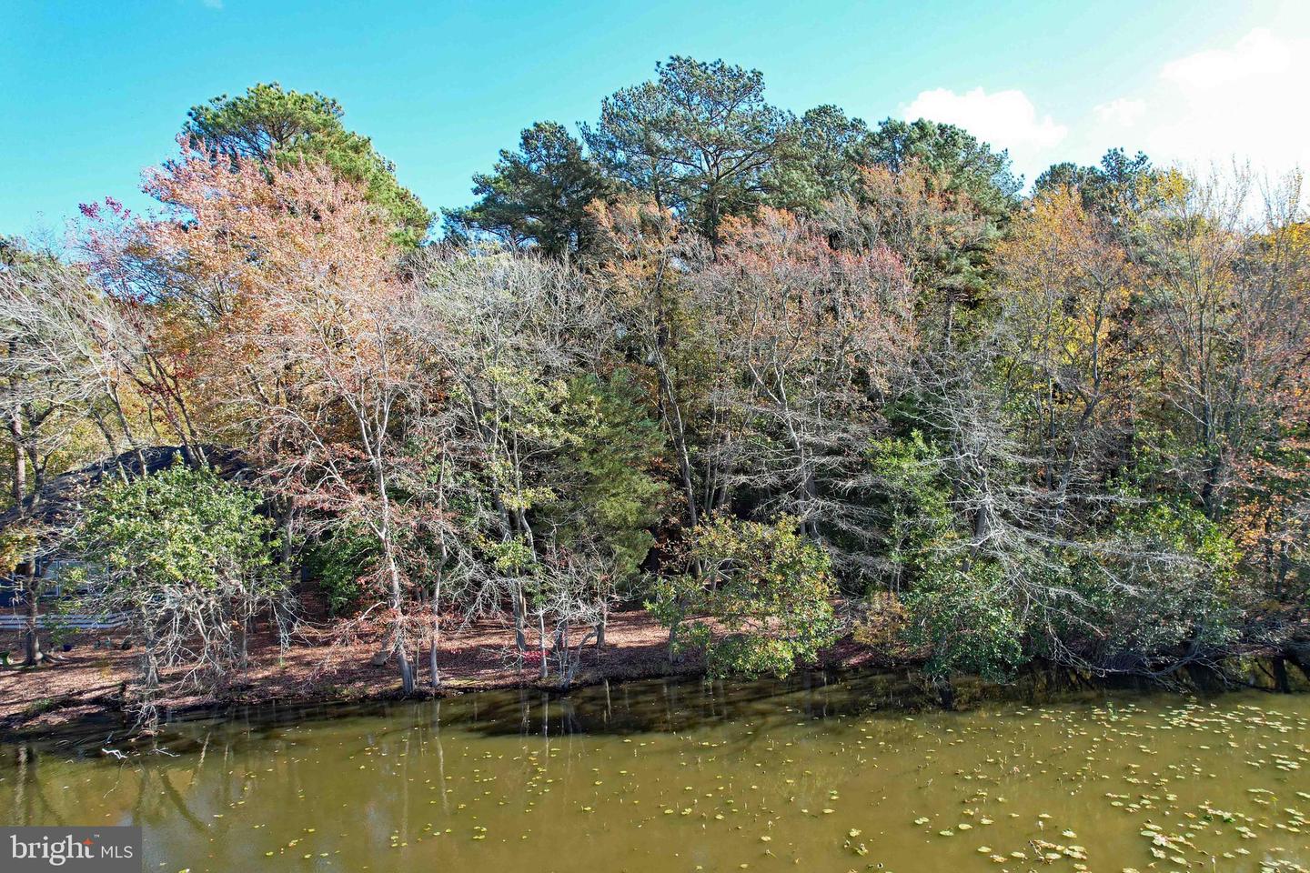 DESU2074578-803490669138-2025-03-07-16-16-21 Lot 29 Bayard Lane | Lewes, DE Real Estate For Sale | MLS# Desu2074578  - Jack Lingo REALTOR