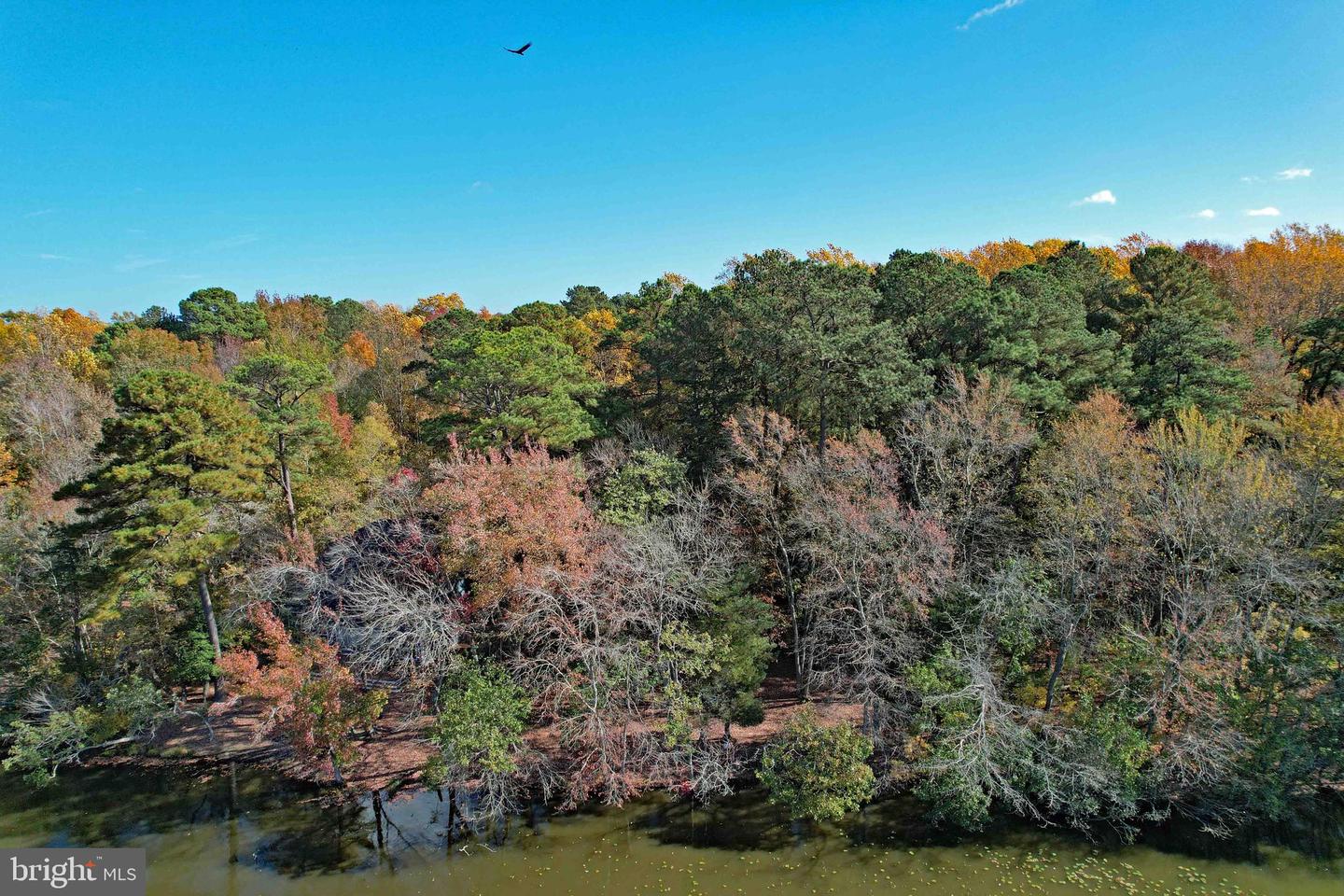 DESU2074578-803490669192-2025-03-07-16-16-21 Lot 29 Bayard Lane | Lewes, DE Real Estate For Sale | MLS# Desu2074578  - Jack Lingo REALTOR