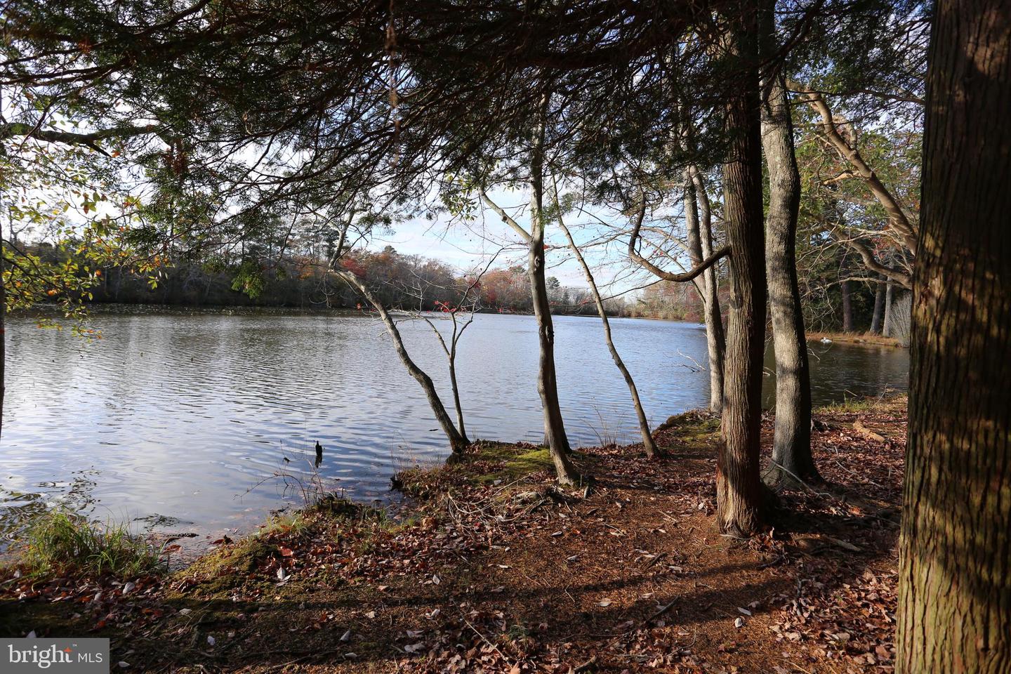 DESU2074578-803490670368-2025-03-07-16-16-22 Lot 29 Bayard Lane | Lewes, DE Real Estate For Sale | MLS# Desu2074578  - Jack Lingo REALTOR