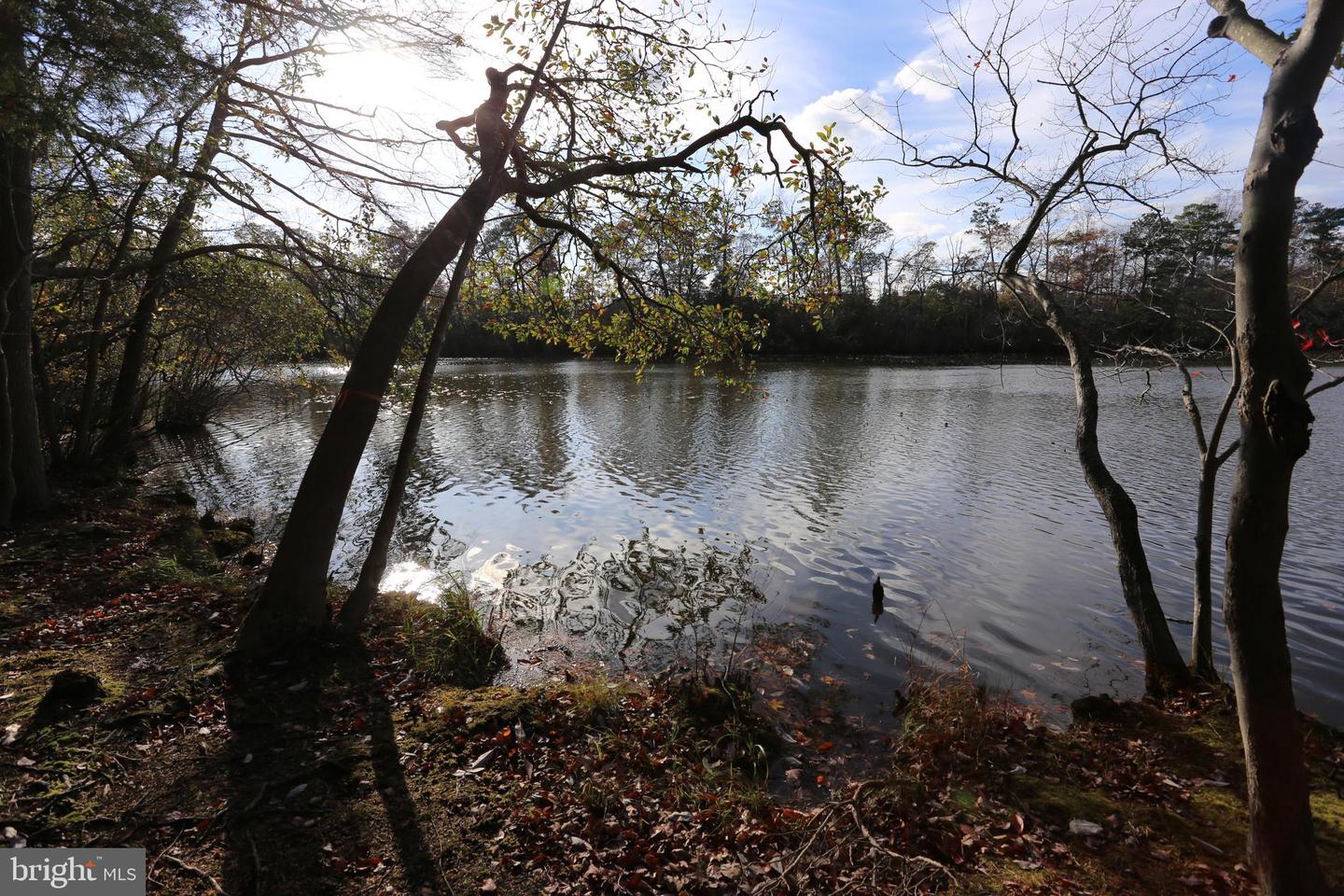 DESU2074578-803490670434-2025-03-07-16-16-22 Lot 29 Bayard Lane | Lewes, DE Real Estate For Sale | MLS# Desu2074578  - Jack Lingo REALTOR