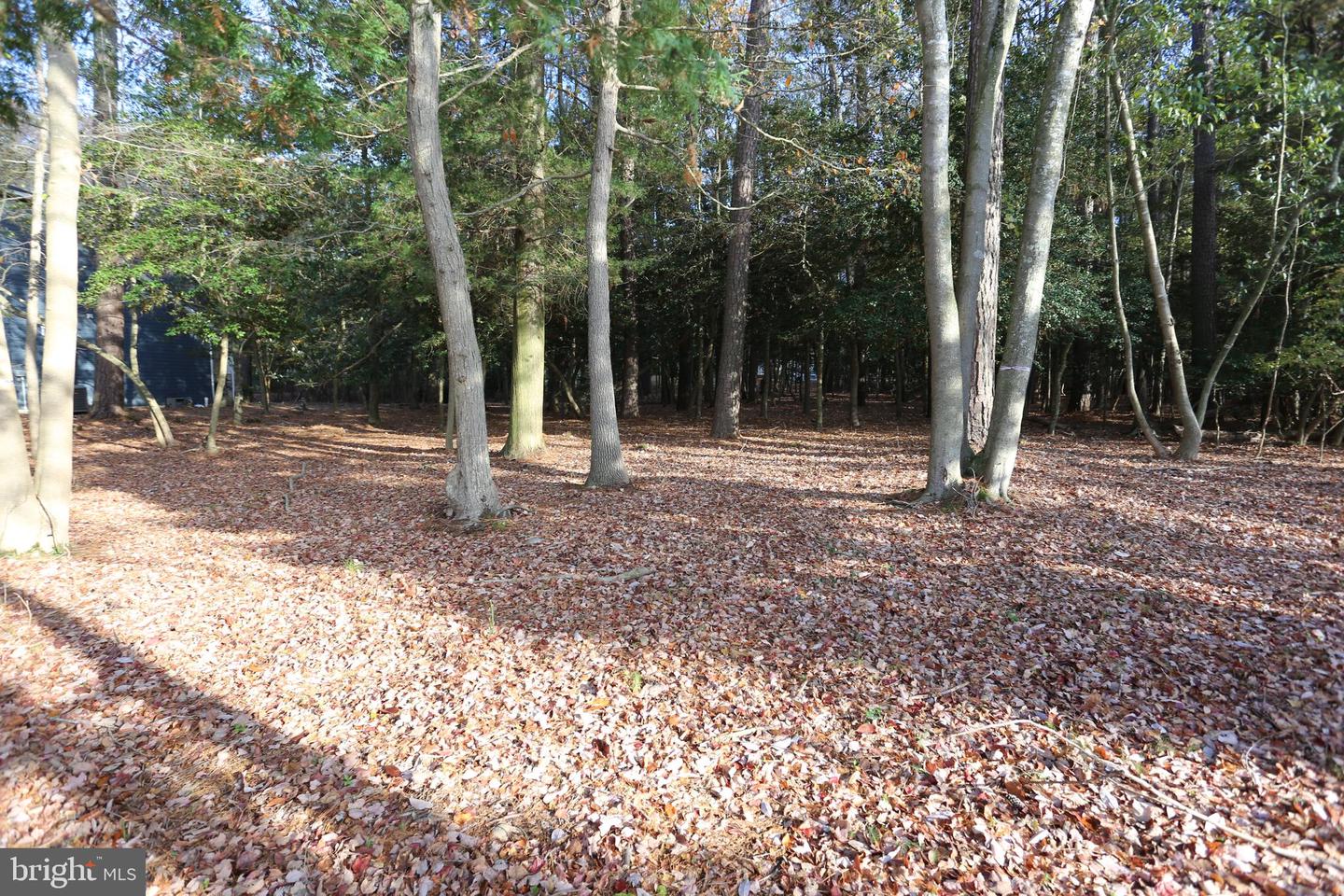 DESU2074578-803490670480-2025-03-07-16-16-22 Lot 29 Bayard Lane | Lewes, DE Real Estate For Sale | MLS# Desu2074578  - Jack Lingo REALTOR