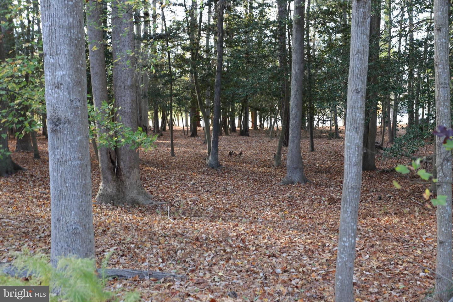 DESU2074578-803490670684-2025-03-07-16-16-22 Lot 29 Bayard Lane | Lewes, DE Real Estate For Sale | MLS# Desu2074578  - Jack Lingo REALTOR