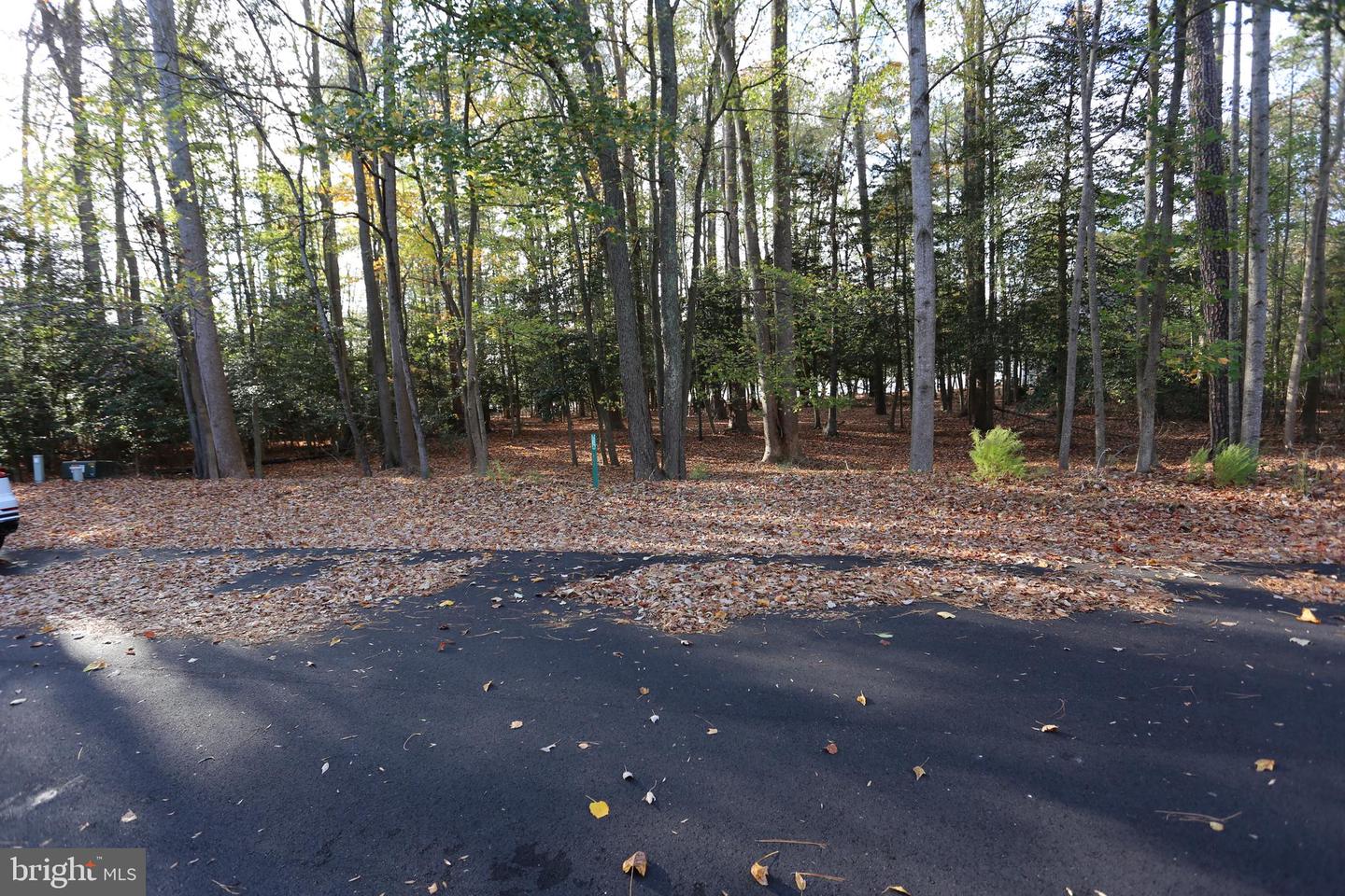 DESU2074578-803490670780-2025-03-07-16-16-22 Lot 29 Bayard Lane | Lewes, DE Real Estate For Sale | MLS# Desu2074578  - Jack Lingo REALTOR