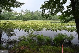 DESU2074578-803490670800-2025-03-07-16-16-22 Lot 29 Bayard Lane | Lewes, DE Real Estate For Sale | MLS# Desu2074578  - Jack Lingo REALTOR