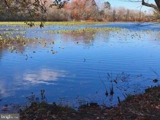 DESU2074578-803490670848-2025-03-07-16-16-22 Lot 29 Bayard Lane | Lewes, DE Real Estate For Sale | MLS# Desu2074578  - Jack Lingo REALTOR