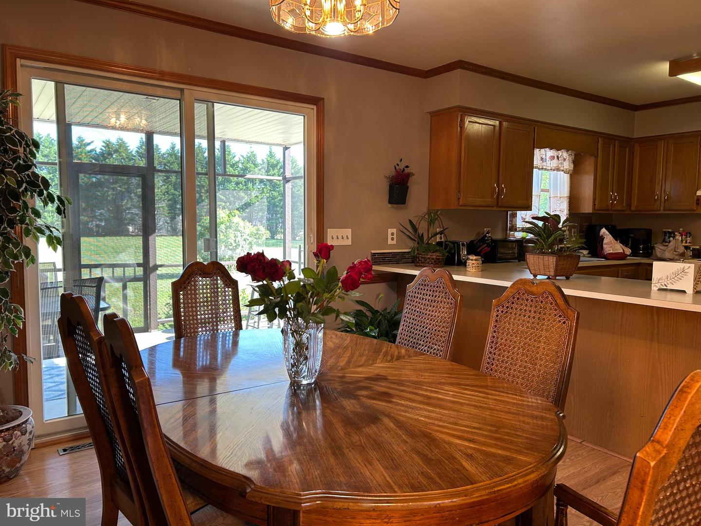 DESU2074980-803835979820-2025-05-08-10-00-04 23900 Emma Ln | Milton, DE Real Estate For Sale | MLS# Desu2074980  - Jack Lingo REALTOR