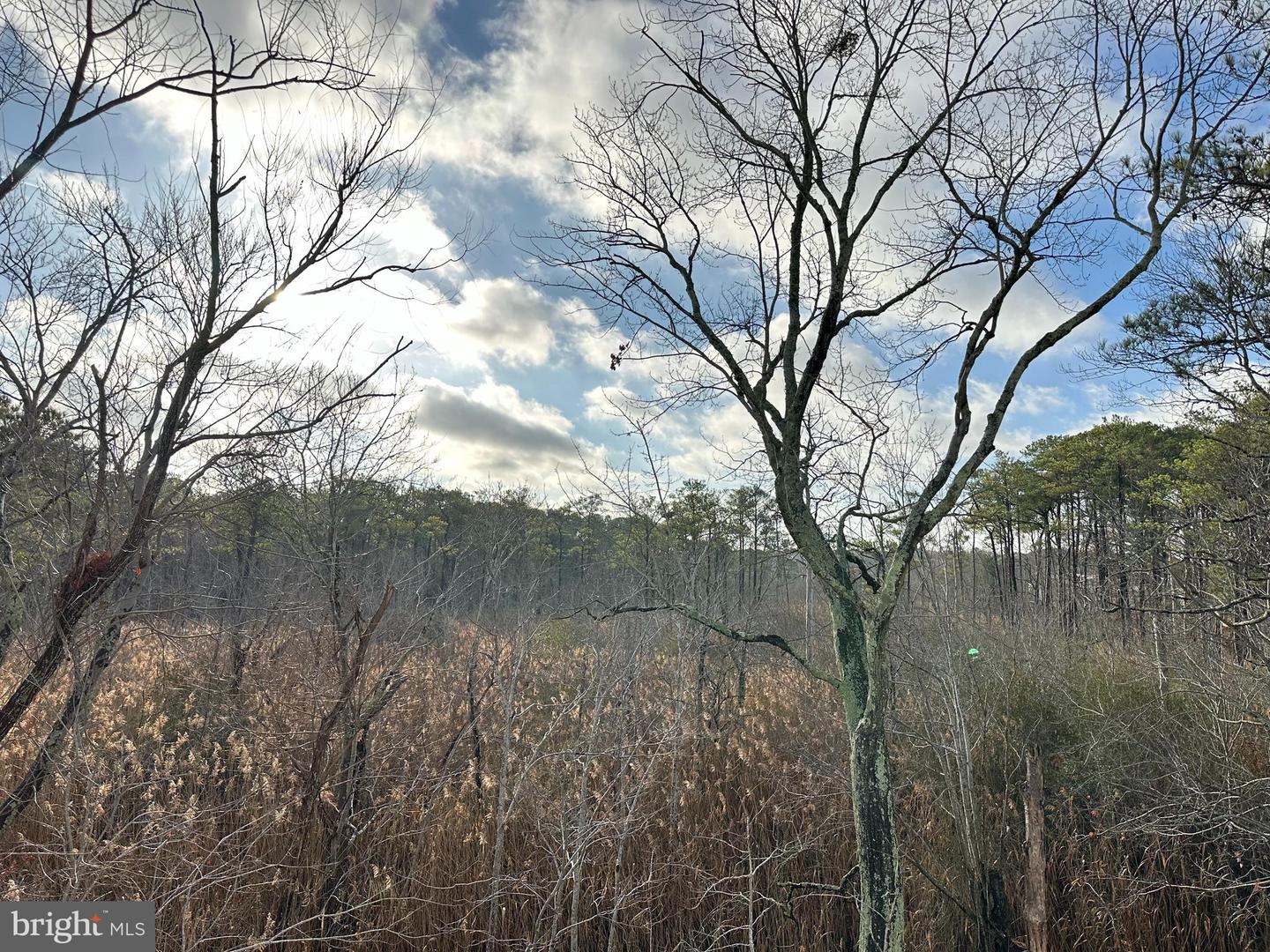 DESU2075358-803531724766-2025-04-03-21-04-57 20682 Maple St | Rehoboth Beach, DE Real Estate For Sale | MLS# Desu2075358  - Jack Lingo REALTOR