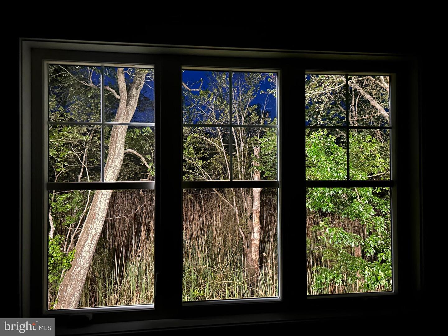 DESU2075358-803824344588-2025-10-30-20-32-33 20682 Maple St | Rehoboth Beach, DE Real Estate For Sale | MLS# Desu2075358  - Jack Lingo REALTOR