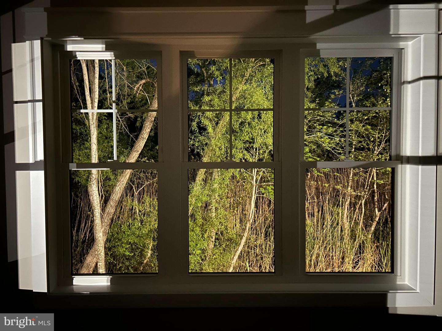 DESU2075358-803824344788-2025-10-30-20-32-33 20682 Maple St | Rehoboth Beach, DE Real Estate For Sale | MLS# Desu2075358  - Jack Lingo REALTOR