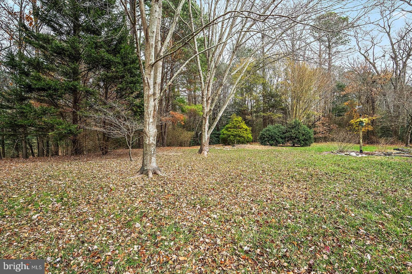 DESU2075562-803524109272-2025-06-13-09-51-15 166 E Mill Pond Dr | Selbyville, DE Real Estate For Sale | MLS# Desu2075562  - Jack Lingo REALTOR