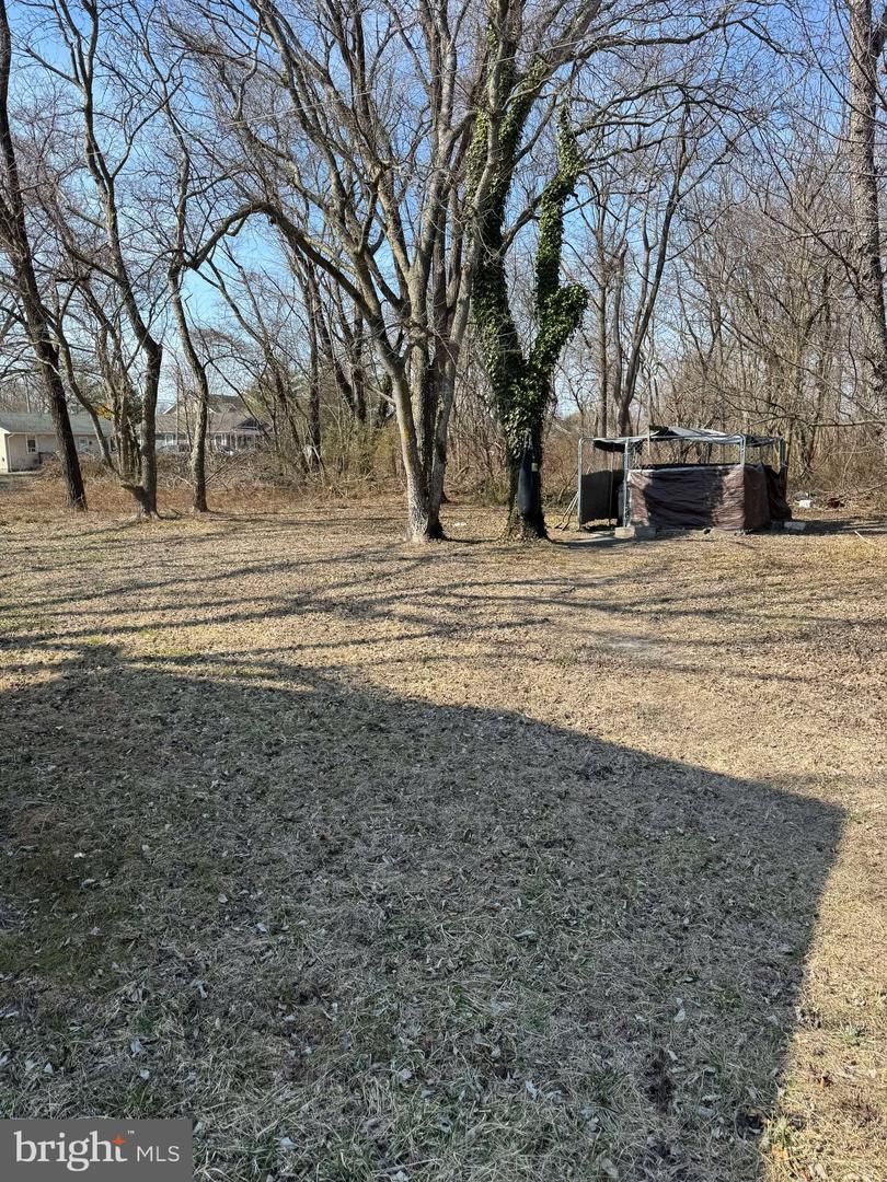 DESU2075570-803670498898-2025-04-14-09-57-22 29391 White St | Millsboro, DE Real Estate For Sale | MLS# Desu2075570  - Jack Lingo REALTOR