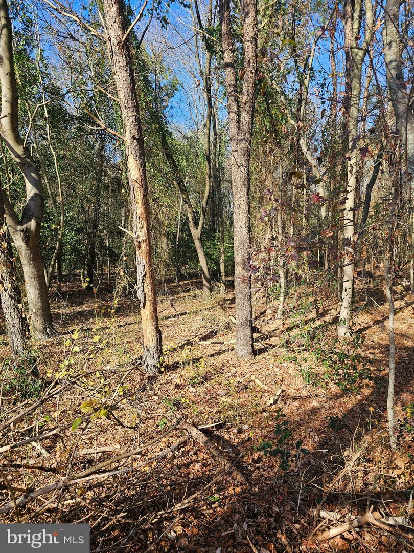 DESU2075626-803523218638-2024-12-18-10-35-02 0 Mccahills Place | Frankford, DE Real Estate For Sale | MLS# Desu2075626  - Jack Lingo REALTOR