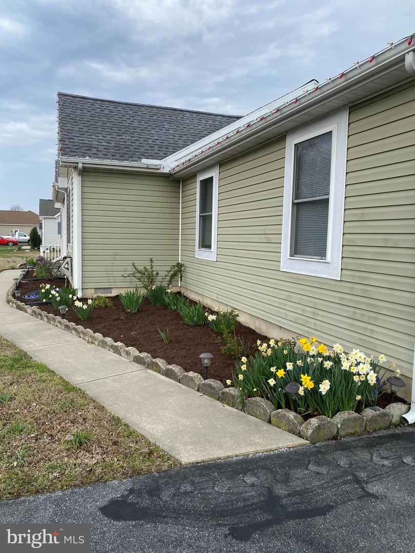 DESU2076280-803729569924-2025-03-29-10-35-44 32119 Judiths Ln | Frankford, DE Real Estate For Sale | MLS# Desu2076280  - Jack Lingo REALTOR