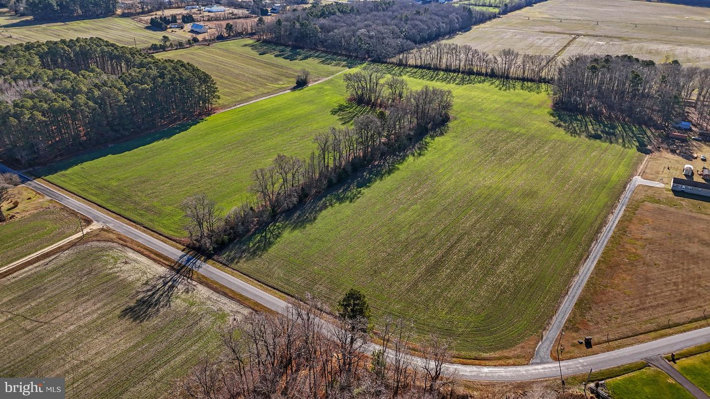 DESU2076316-803574696698-2025-04-06-21-07-34 Old Crow Rd. | Delmar, DE Real Estate For Sale | MLS# Desu2076316  - Jack Lingo REALTOR
