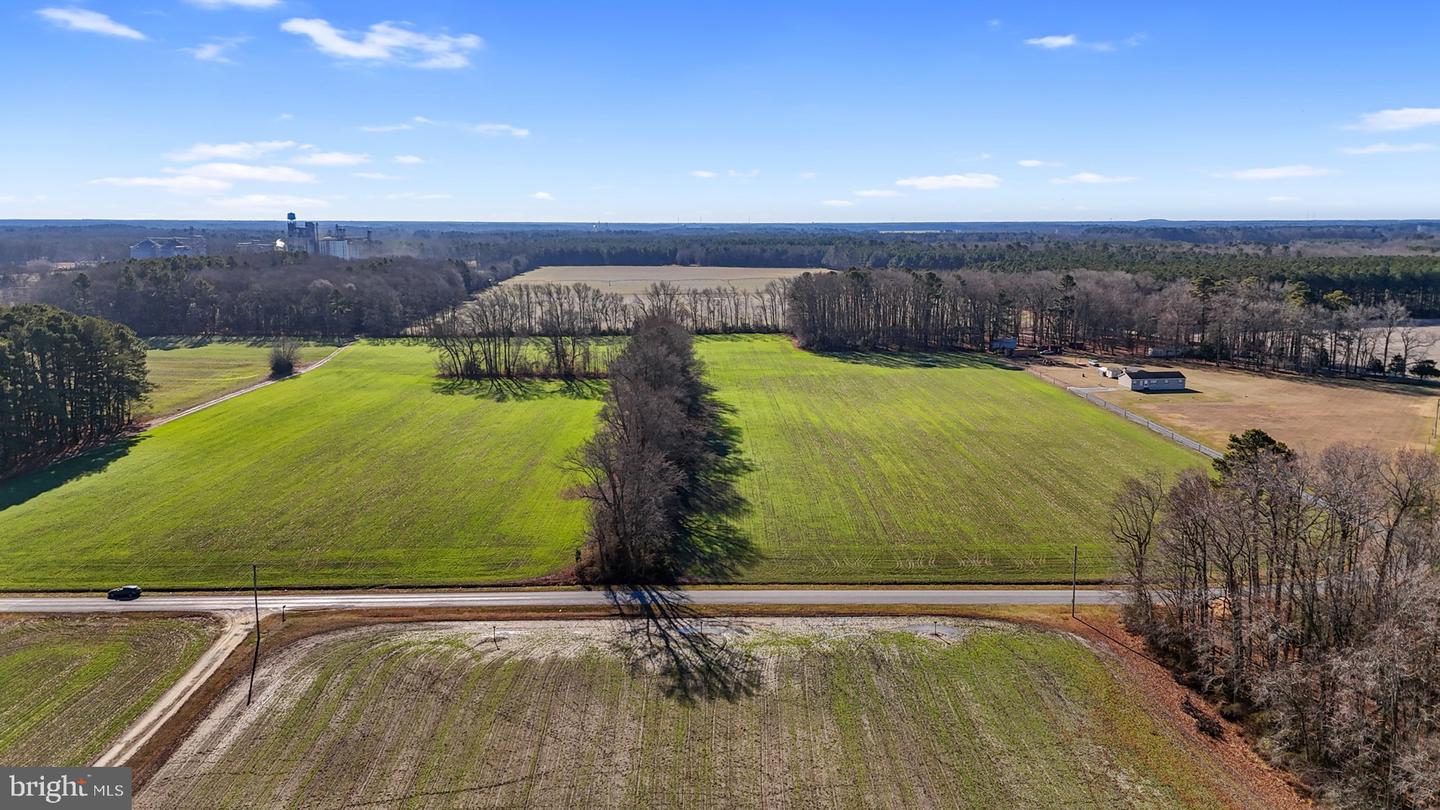 DESU2076316-803574697256-2025-04-06-21-07-34 Old Crow Rd. | Delmar, DE Real Estate For Sale | MLS# Desu2076316  - Jack Lingo REALTOR