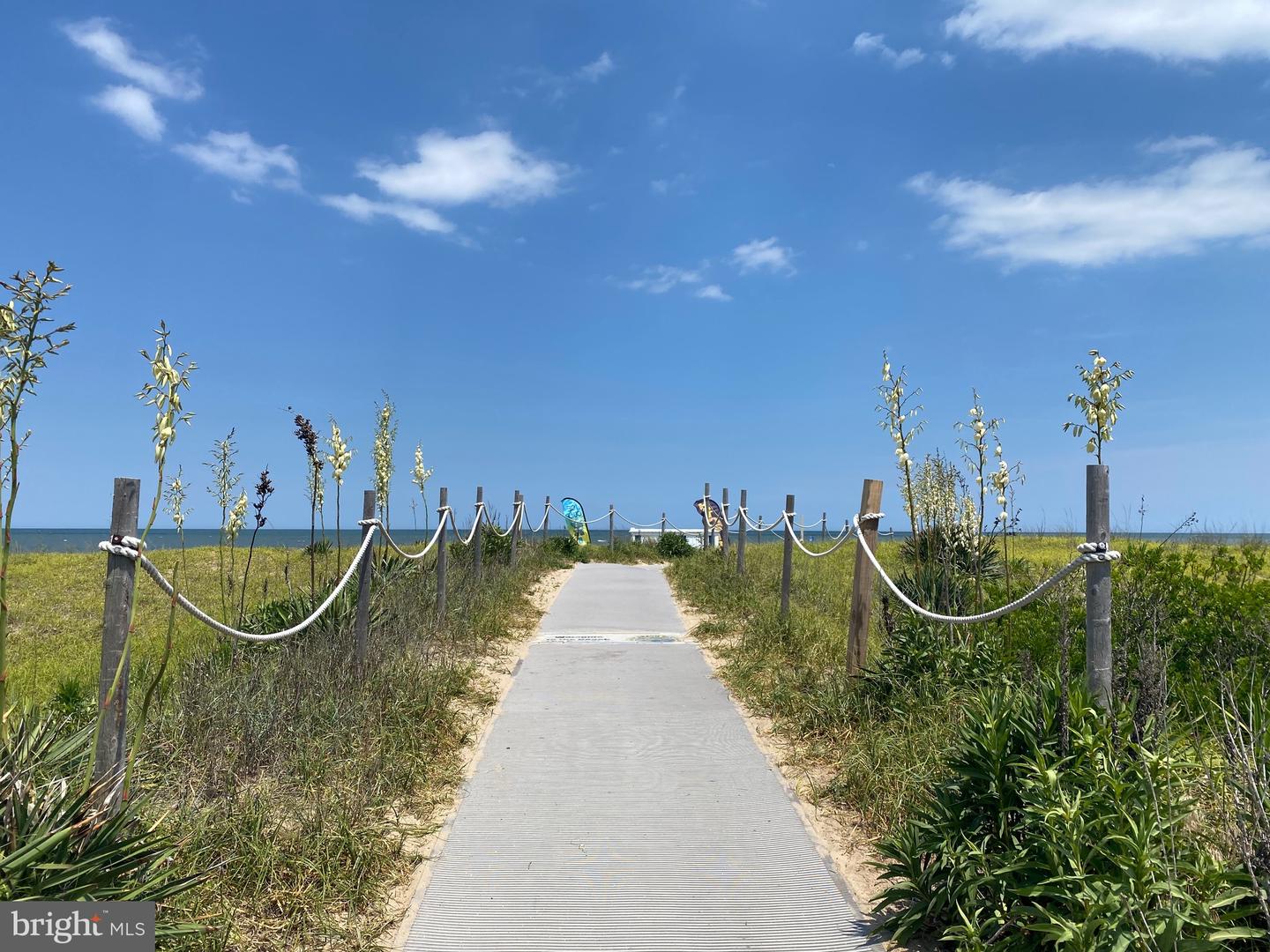 DESU2076730-803552419892-2025-01-07-11-53-10 1 Read #114a | Dewey Beach, DE Real Estate For Sale | MLS# Desu2076730  - Jack Lingo REALTOR