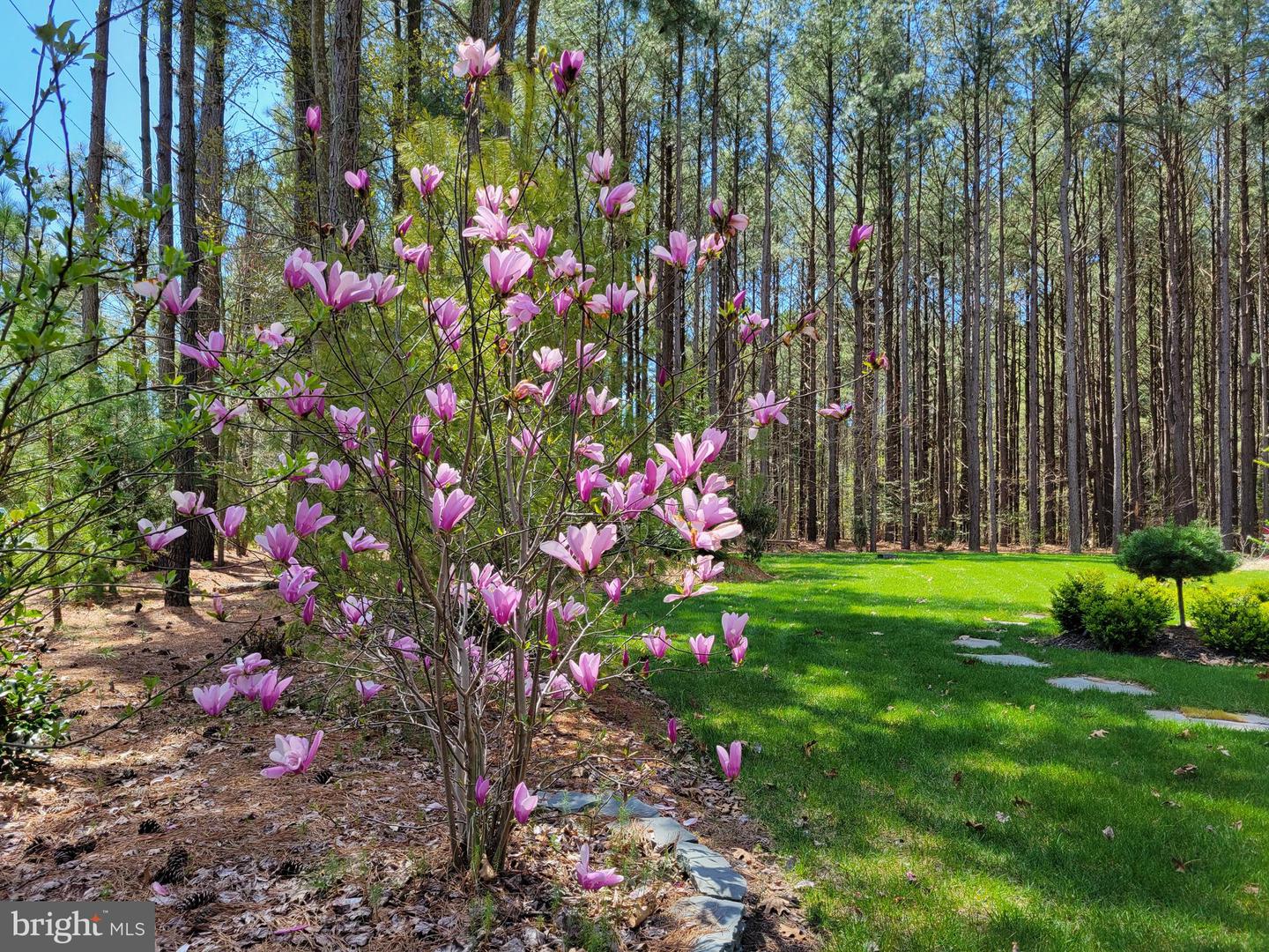 DESU2076890-803571026450-2025-02-01-01-18-14 19668 Beaver Dam Rd | Lewes, DE Real Estate For Sale | MLS# Desu2076890  - Jack Lingo REALTOR