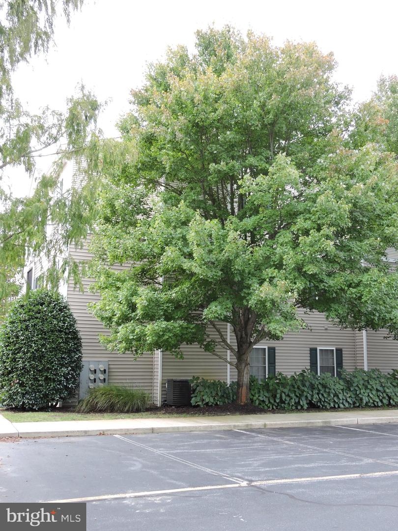 DESU2077008-803567939970-2025-01-13-16-51-11 100 Cascade Ln #124 | Rehoboth Beach, DE Real Estate For Sale | MLS# Desu2077008  - Jack Lingo REALTOR